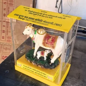 Cow Donation Box